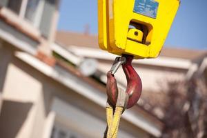 Yellow Crane Head with Red Hook photo