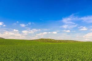 exuberante paisaje verde de tierras de cultivo con colinas en la distancia foto