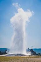 Old Faithful Geyser Erupting at Yellowstone National Park. photo