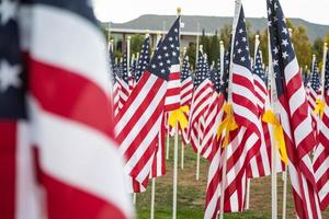 campo de banderas americanas del día de los veteranos ondeando en la brisa. foto