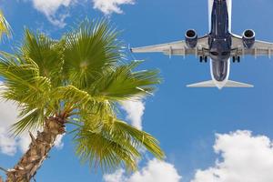 Bottom View of Passenger Airplane Flying Over Tropical Palm Trees photo
