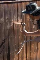 Professional Painter Spraying Yard Fence with Stain photo