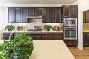 Beautiful Kitchen Interior with Dark Cabinets photo