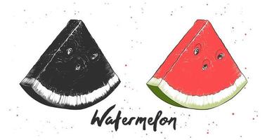 Vector engraved style illustration for posters, decoration and print. Hand drawn sketch of watermelon in monochrome and colorful. Detailed vegetarian food drawing.