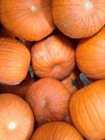 Several Large Pumpkins At the Pumpkin Patch Abstract photo