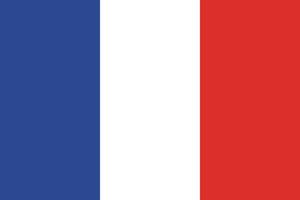 diseño de la bandera francesa vector