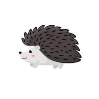 Vector illustration of cute hedgehog isolated on white background