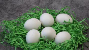 Ecologic white chicken eggs on shredded paper strips, top view video