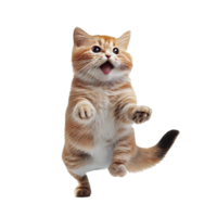 Realistic computer drawing of a cat. png