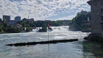 vista de las cataratas del Rin rheinfalls.las famosas cataratas del Rin en Suiza, cerca de la ciudad de Schaffhausen video