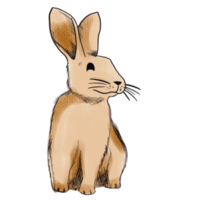 The brown rabbit  png image