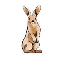 The brown rabbit  png image