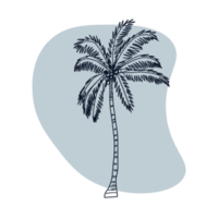 Botanical line art png