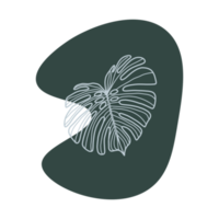 Botanical line art png