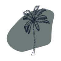 Botanical line art png