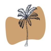 botanische Strichzeichnungen png