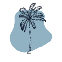 Botanical line art png