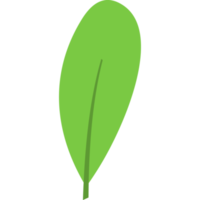 ícone de folha plana desenhado à mão png