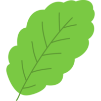 flat leaf icon hand drawn png