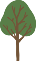 arbre de simplicité dessin à main levée png