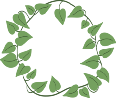 Simplicity ivy freehand drawing png