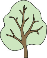 simplicity tree freehand drawing flat design. png