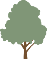 simplicity tree freehand drawing flat design. png