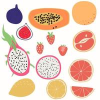 conjunto de frutas tropicales abstractas. elementos simples de diseño vegano de un solo alimento. elementos de corte de papel contemporáneos, frutas para redes sociales, postales, impresión. ilustración vectorial de stock, eps 10 vector