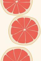 grapefruit on a beige background. Vector illustration of summer fruits and citrus. Citrus icons are silhouettes of pictograms. Tropical fruit. Grapefruit parts, slices. Vector illustration, eps 10