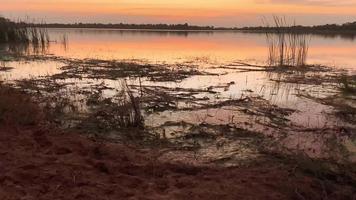 schöne Aussicht auf die Natur bei Sonnenuntergang, rot-orangefarbener Himmelsblick und Fluss bei Sonnenuntergang. video