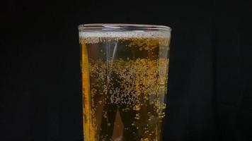cerveza, verter cerveza en vasos de cerveza, burbujas de cerveza, cámara lenta video