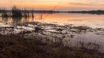 skön natur se på solnedgång, rödorange himmel se och flod på solnedgång. video