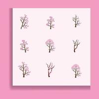 conjunto de iconos de vector de flor de cerezo japonés sakura