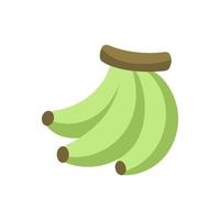 Simple cute unripe green banana icon. Fruit flat vector illustration clipart design.