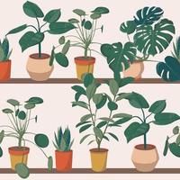 patrón de diferentes plantas de interior en el estante. ficus, monstera, suculento, pilea en varias macetas, jarrón. decoración hogareña acogedora escandinava. ilustración de patrón de impresión de dibujos animados de vector plano