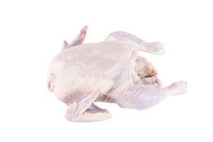 carcasse de poulet cru. arrière-plan transparent. png