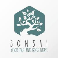 Unique Amazing bonsai tree in hexagon image graphic icon logo design abstract concept vector stock. Can be used as symbol relating to animal or interior.