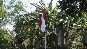 de rood en wit vlag dat is geïnstalleerd en fladderend Aan de kant van de weg naar herdenken Indonesië's onafhankelijkheid dag video