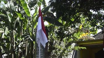de rood en wit vlag dat is geïnstalleerd en fladderend Aan de kant van de weg naar herdenken Indonesië's onafhankelijkheid dag video
