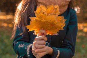 girl two hands stretches forward leaves from trees, close-up photo