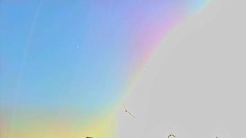 silhouetten kudde van meeuwen over- de zee gedurende verbazingwekkend lucht video