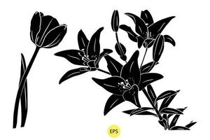 Lily of Valley Vector Illustration, Set of Black Decorative Lily of Valley silhouettes, vector black silhouettes of flowers isolated on a white background.