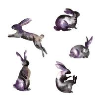 Hare bunny watercolor splash silhouettes Isolated on white. Hand drawn illustration vector