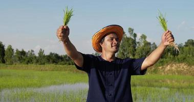 ralenti, un jeune agriculteur asiatique portant une chemise bleue et un chapeau de paille tient les plants de riz à deux mains et lève la main, debout et regarde la caméra en riant