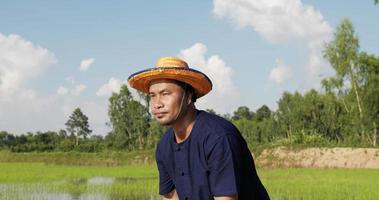 close-up, jovem agricultor vestindo camisa azul e palha em pé enxugou o suor da testa e enxugou o calor com um chapéu no campo de arroz video