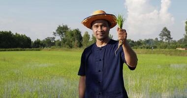 Slow motion shot, Asian farmer wearing blue shirt and straw hat holding a seedling with his right hand raised. And the other with thumbs up, He stand and looking at the camera with smile. video