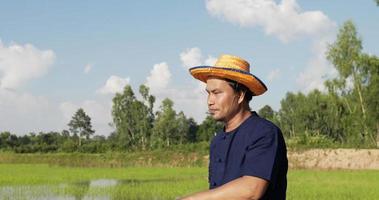 dichtbij omhoog, jong boer vervelend blauw overhemd en rietje staand afgeveegd weg zweet uit zijn voorhoofd en afgeveegd weg de warmte met een hoed in de rijst- veld- video