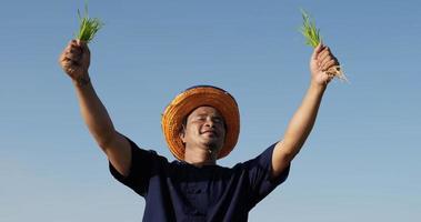 tir à faible angle, un jeune agriculteur asiatique portant une chemise bleue et un chapeau de paille tient les plants de riz à deux mains, lève la main et regarde la caméra en riant