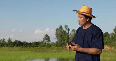 fermier asiatique portant une chemise bleue et un chapeau de paille debout et tactile sur l'écran du téléphone portable à la main, il sourit avec bonheur et regarde autour de la rizière en arrière-plan video