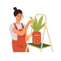 A woman takes care of a houseplant vector